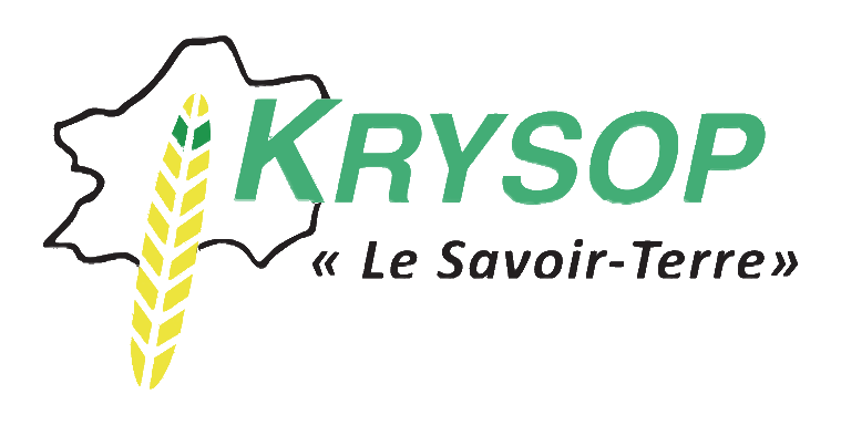 Logo de Krysop avec épi de blé