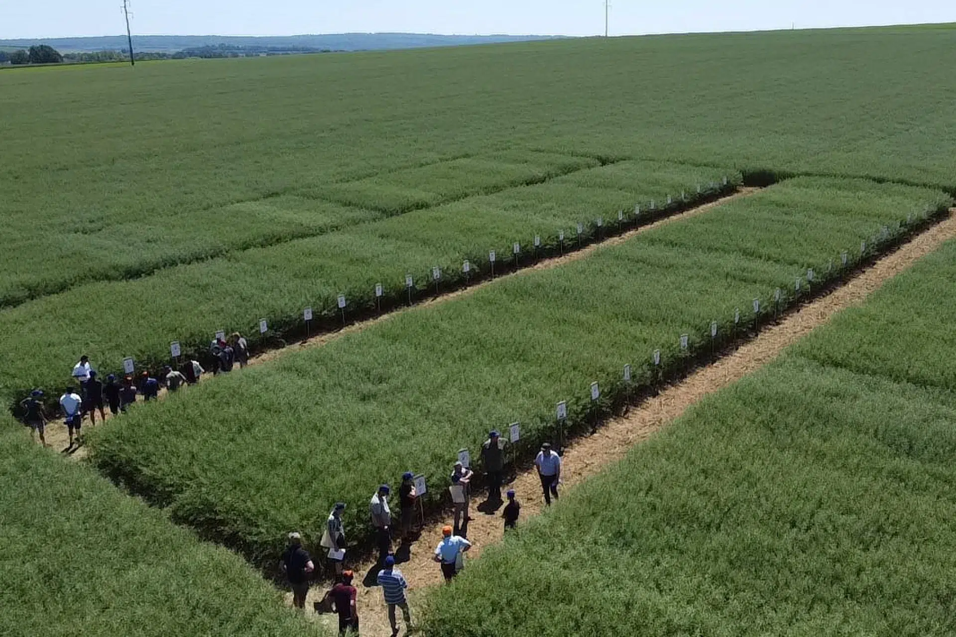 Visite de parcelles de recherche agricole