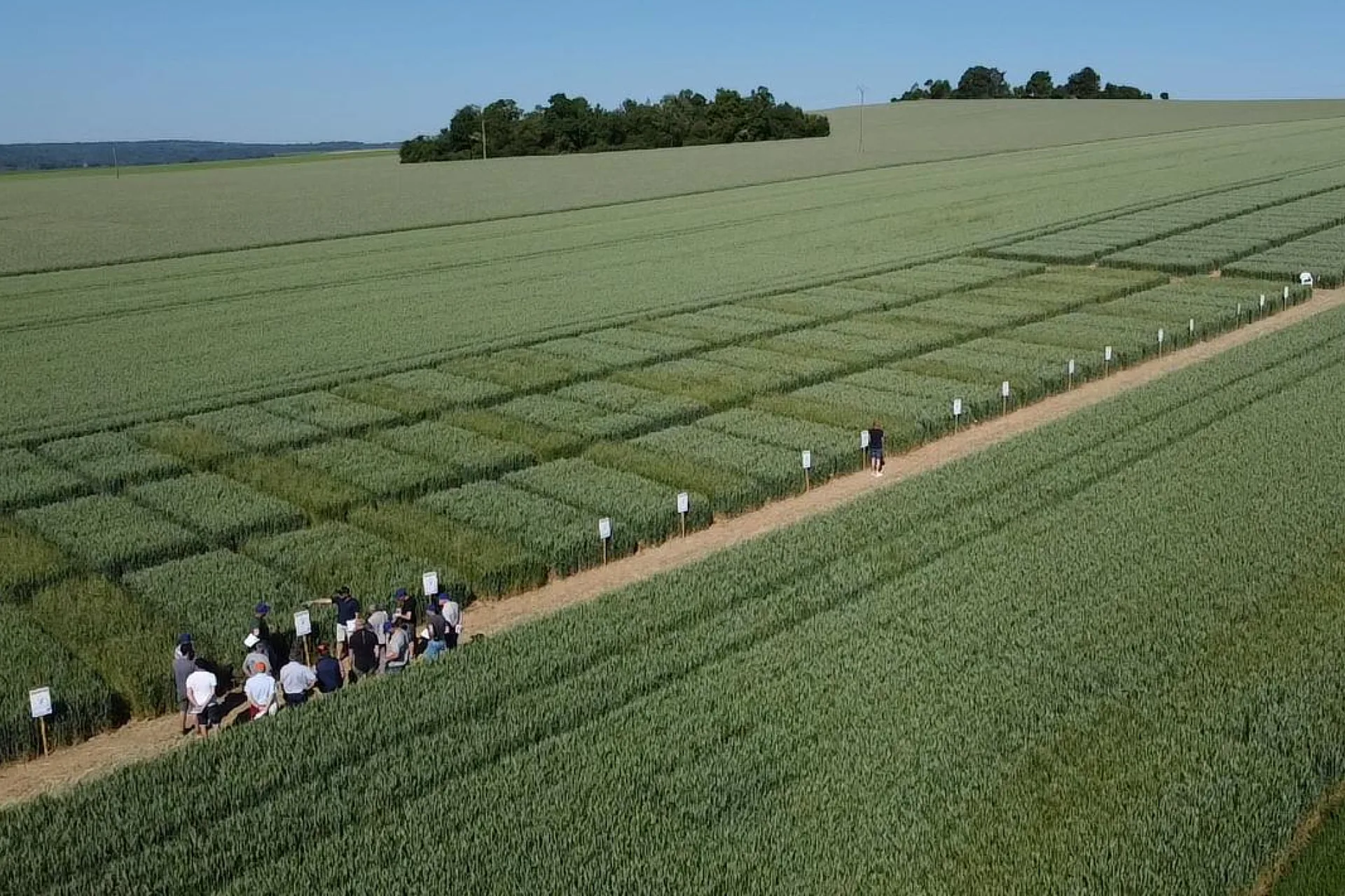 Champ avec parcelles de culture et visiteurs